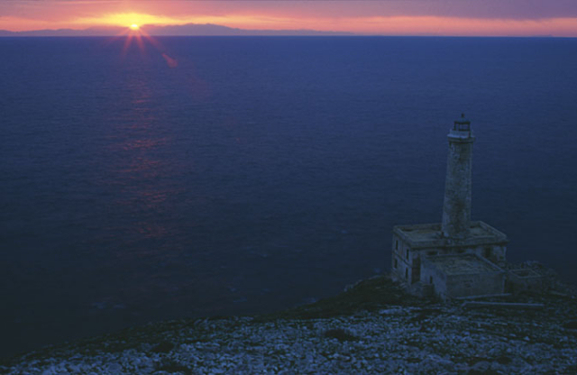 Buon 2009 da Timonieri.it
