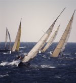 Torna la Regata dei Cetacei 