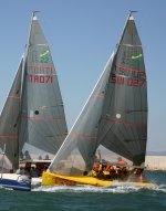 Edizione 2007 della Coppa Alcea